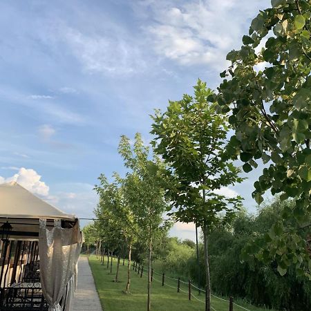 Hanul Cocosul Vitanesti Exteriér fotografie