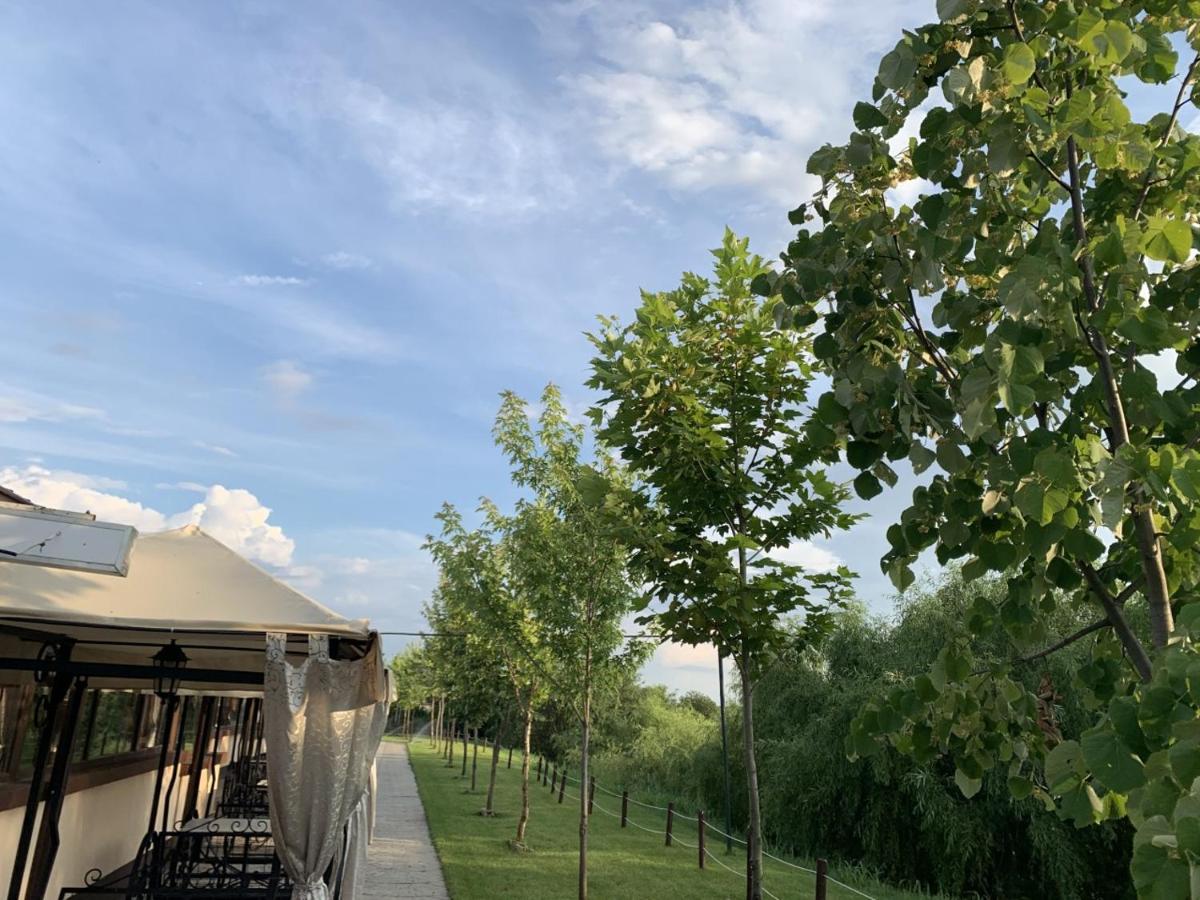 Hanul Cocosul Vitanesti Exteriér fotografie