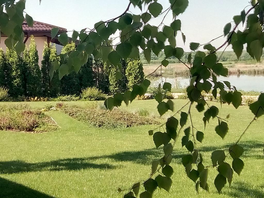 Hanul Cocosul Vitanesti Exteriér fotografie
