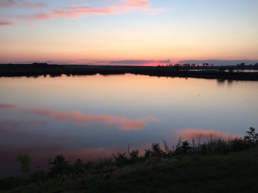 Hanul Cocosul Vitanesti Exteriér fotografie